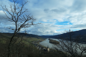 Wegen Hitze: Weitere Verschlechterung erwartet für den Rhein in Mainz