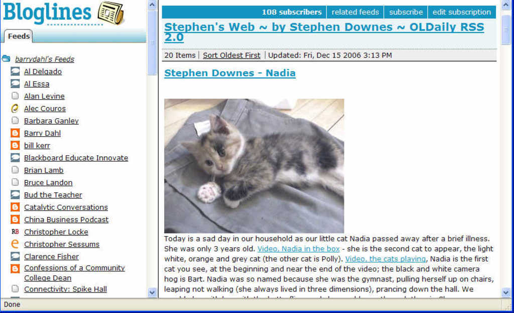 Eine Blogseite mit Text und einer Katze auf einem Stück Stoff.