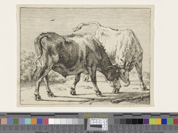 Zwei Kühe grasen auf einer von Bäumen umgebenen Wiese unter einem klaren blauen Himmel, mit einem Farbkasten aus verschiedenen Blautönen, Grün, Gelb und Rot unten.