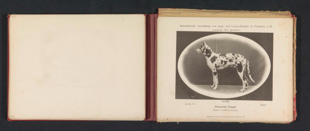 Ein aufgeschlagenes Buch mit dem Titel "Internationale Ausstellung von Jagd- und Luxus-Hunden in Frankfurt a.M." und einem Schwarz-Weiß-Foto eines Hundes.