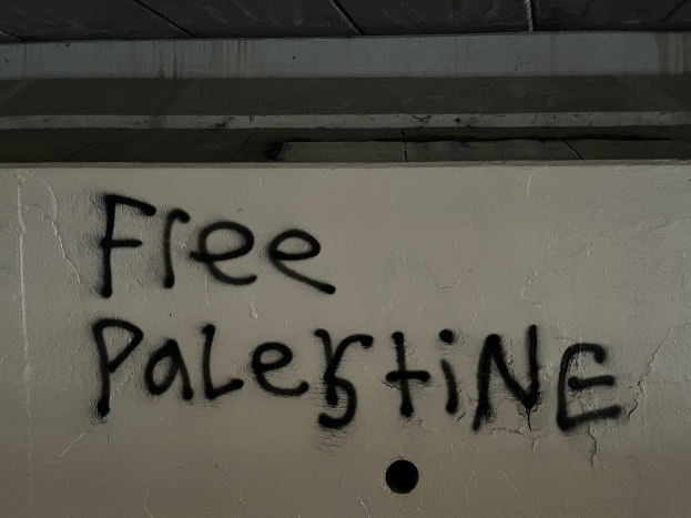 Schwarze Graffiti-Schriftzug 'free palestine' an einer Wand, beleuchtet von oben.