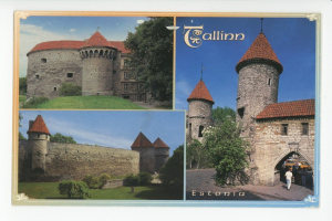 Supporter des Königs haben sich selbst übertroffen Eine Wikingerfestung als Residenz des Königs