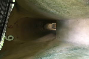 Ein Betontunnel mit einem Metallgeländer auf der linken Seite, Bäumen im Hintergrund und einer Leitung, die hindurchführt.