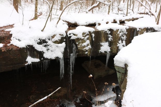 Ein kleiner Wasserfall in einem schneebedeckten Wald, mit Eiszapfen an den Felsen und schneebedeckten Bäumen im Hintergrund.