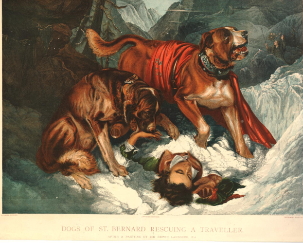 Zwei Bernhardiner-Hunde nähern sich einer Person, die im Schnee liegt, mit Bergen im Hintergrund und Text am unteren Bildrand.