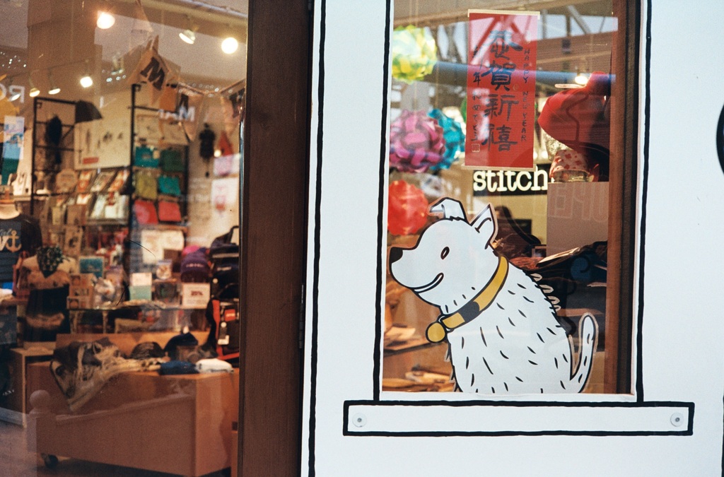 Eine Illustration eines Hundes mit Text auf der rechten Seite und links ein Raum mit Lampen, Flaggen, Regalen, Sofas, Kleidung, Deko, Menschen, Stühlen und diversen anderen Gegenständen.