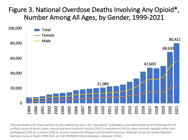 Eine Liniengrafik, die die Anzahl der landesweiten Überdosis-Tode involving any opioid among all ages, by gender von 1999 bis 2021 zeigt, mit begleitendem Text, der weitere Informationen bereitstellt.