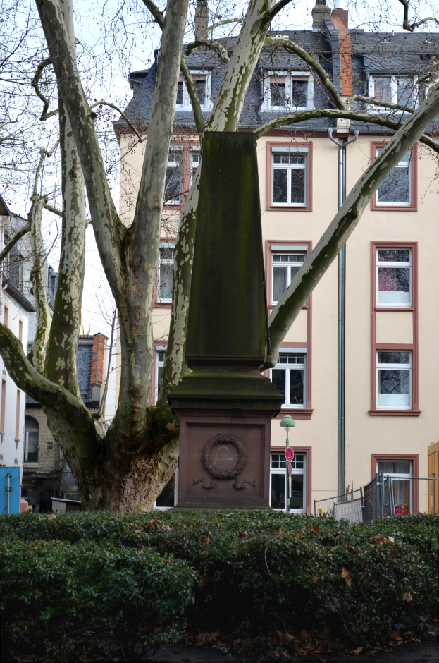 Ein großer Baum steht in der Mitte einer Stadtstraße, umgeben von Pflanzen, einem Pfahl, einem Schild, einem Zaun und einem Gebäude mit Fenstern, unter einem bewölkten Himmel.
