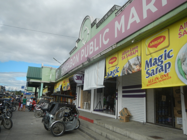 Lebendige Stadtstraße mit parkenden Fahrzeugen, Fußgängern, Gebäuden, Schildern, Strommasten mit Drähten, Bäumen und einem bewölkten Himmel, mit 'Bongabon Public Market' im Vordergrund.