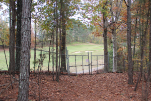 Ein Golfplatz in einem bewaldeten Gebiet mit hohen, grünen Bäumen, die Schatten auf den mit gehäckselten Blättern bedeckten Boden werfen und ein Maschendrahtzaun im Hintergrund.