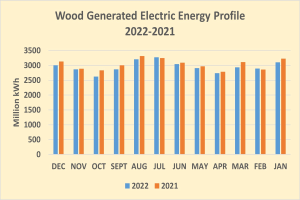 Liniengraph, der den Holz-generierten elektrischen Energieverlauf von 2021 bis 2022 zeigt, mit begleitendem Erläuterungstext.