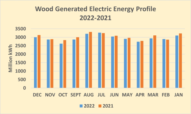 Liniengraph, der den Holz-generierten elektrischen Energieverlauf von 2021 bis 2022 zeigt, mit begleitendem Erläuterungstext.
