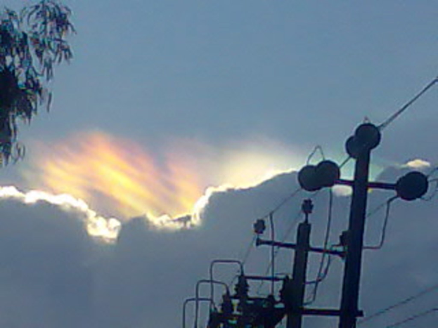 Mehrere Strommasten stehen in einer Reihe, mit einem Zweig in der oberen linken Ecke und einer Wolke am Himmel.