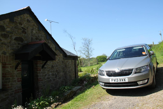 Rechts befindet sich ein Auto, Pflanzen, ein Strommast, Gras und Erde. Links befinden sich Pflanzen, Blumen, Bäume, ein Zaun, ein Haus und ein Mast unter einem sonnigen Himmel.