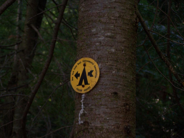 Ein Baum mit einem Warnschild daran, umgeben von vielen anderen Bäumen in einem Waldgebiet.
