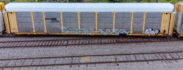 Ein Zug mit Graffiti an der Seite fährt auf Schienen, umgeben von Steinen und Bäumen.