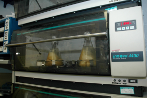 Laborbrutschrank mit Glastür, Seitengriff, Bedienfeld und digitaler Anzeige, umgeben von anderer Laborausrüstung und einer Wand im Hintergrund.