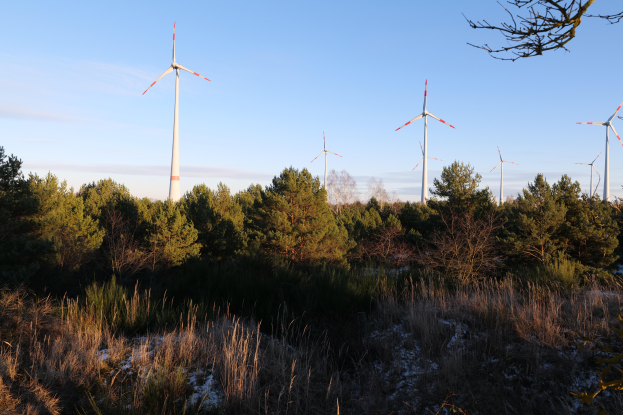 Ein Feld von Windkraftanlagen in einer verschneiten Landschaft, umgeben von Bäumen und Pflanzen, mit einem klaren Himmel im Hintergrund.
