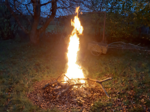 Feuer in einer nächtlichen Grasfläche, umgeben von trockenen Blättern und Stöcken, mit Bäumen und einem Wagen im Hintergrund und einem sichtbaren Himmel.
