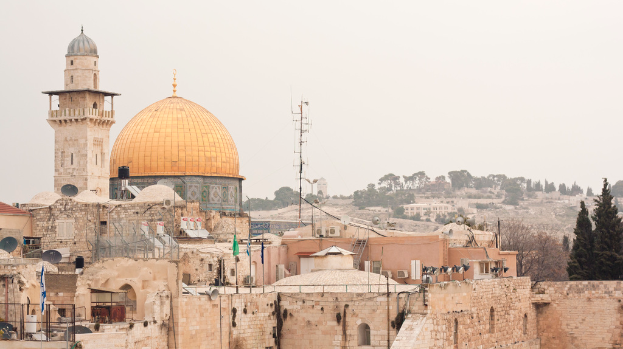 Mehrere Ziegelgebäude mit Schüssenantennen und Klimaanlagen, mit Bäumen und Himmel im Hintergrund.