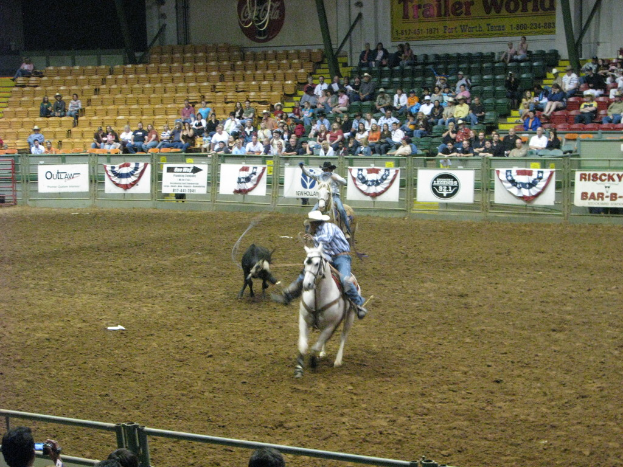 Zwei Personen zu Pferd mit einem Hund am Boden in einer Arena, mit Zuschauern im Hintergrund und Bannern an der Umrandung.
