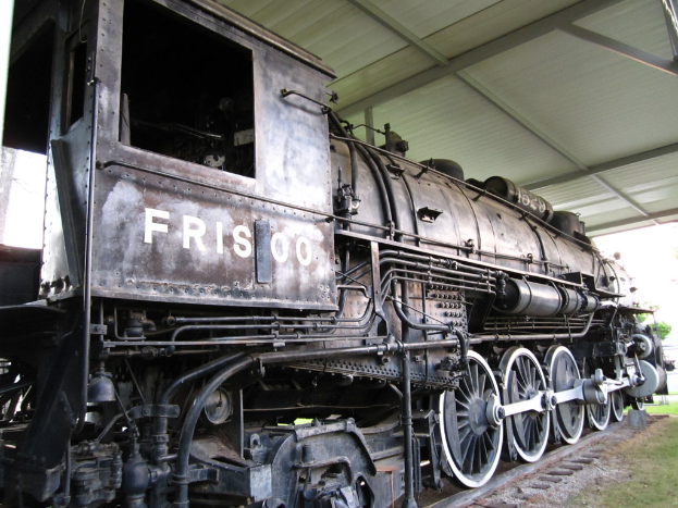 Ein Zug ist in der Mitte auf den Schienen mit Gras darunter und einer Decke mit Pfählen darüber.