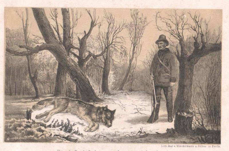 Ein Mann mit Hut und Stock steht neben einem liegenden Wolf in einem Waldgebiet, mit der Aufschrift "Deutsches Wolfsjagen" unten.