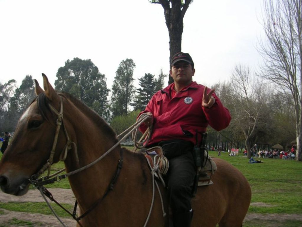 Eine Person, die ein Pferd reitet, mit Bäumen, Gras und ein paar anderen Menschen im Hintergrund.