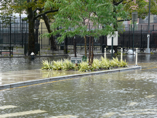 Eine überflutete Straße mit Pflanzen, Bäumen und einer Tafel in der Mitte, umgeben von Wasser, mit einem Zaun, einem Gebäude und mehr Pflanzen im Hintergrund.