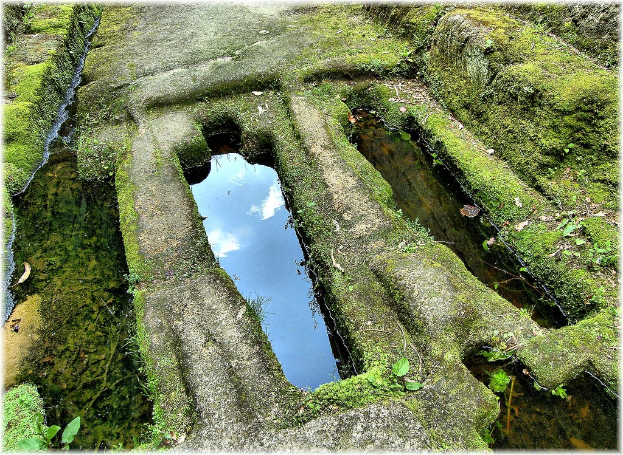 Ein von grünem Gras und Pflanzen umgebener Wasserkörper.