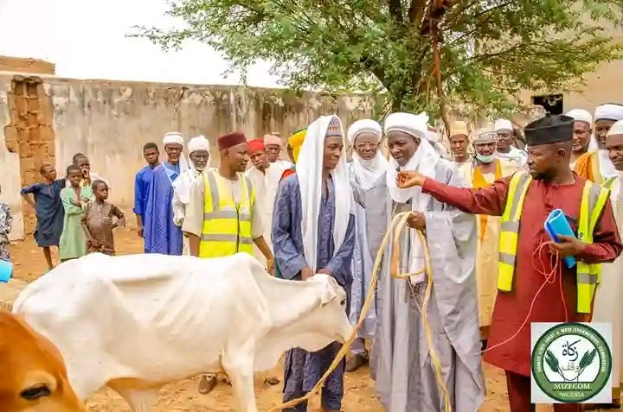 Eine Gruppe von Menschen steht um eine weiße Kuh herum, wobei ein Mann eine Leine hält, vor einer Wand, einem Baum und einem klaren blauen Himmel.