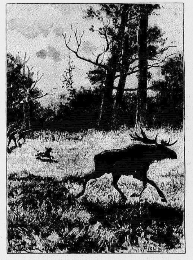 Ein Schwarz-Weiß-Foto eines Hirschs, der durch einen bewaldeten Bereich läuft, mit Bäumen im Hintergrund und Text unten.